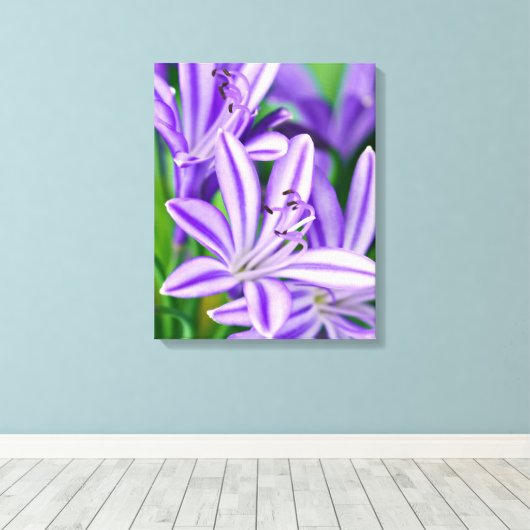 Paarse Bloemen African Daisy Flower  Natuur Canvas Afdruk (Insitu (Houten vloer))
