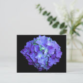 Paarse bloemen blauwgroen bloemen hortensia briefkaart (Staand voorkant)