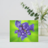 paarse bloemen briefkaart (Staand voorkant)