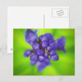 paarse bloemen briefkaart (Voorkant / Achterkant)