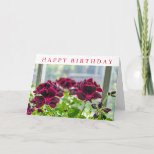 Paarse bloemen close-up verjaardagskaart kaart