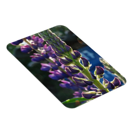 Paarse bloemen Fotomagneet Magneet (Rechterzijde)