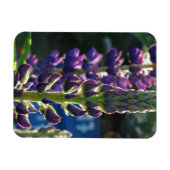 Paarse bloemen Fotomagneet Magneet (Horizontaal)