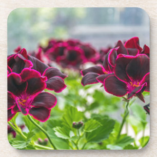 Paarse bloemen harde plastic onderzetters