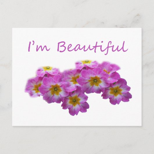 Paarse bloemen, ik ben mooi briefkaart (Voorkant)