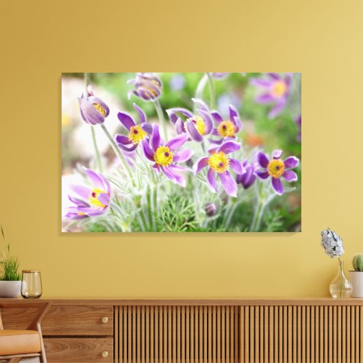 Paarse bloemen in de zon canvas afdruk (Insitu (Woonkamer))