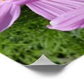 paarse bloemen in de zon poster (Hoek)