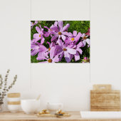 paarse bloemen in de zon poster (Keuken)
