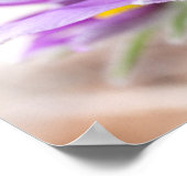Paarse bloemen in de zon poster (Hoek)