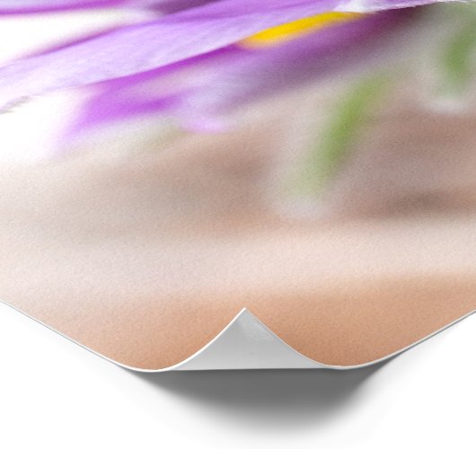 Paarse bloemen in de zon poster (Hoek)