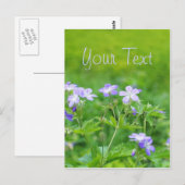 Paarse bloemen in het veld briefkaart (Voorkant / Achterkant)