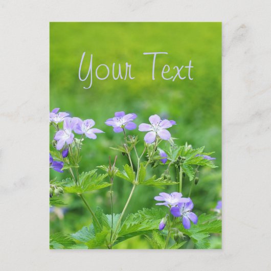 Paarse bloemen in het veld briefkaart (Voorkant)