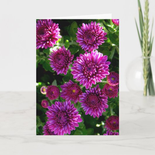 Paarse bloemen kaart (Voorkant)