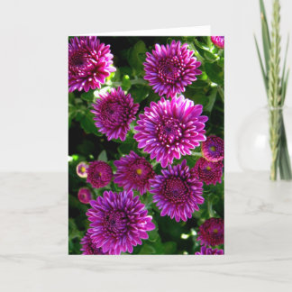 Paarse bloemen kaart