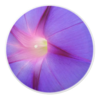 Paarse Bloemen Keramische Knop