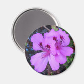 Paarse bloemen keuken magneet (Voorkant / Achterkant)