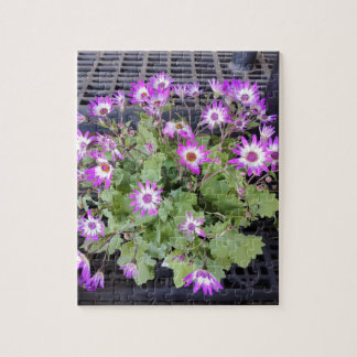 Paarse Bloemen Legpuzzel