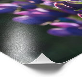 Paarse Bloemen Lente Foto Print Foto Afdruk (Hoek)