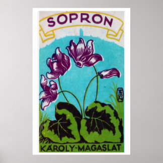Paarse Bloemen Luciferdoosje Kunstprint, Hongaars Poster