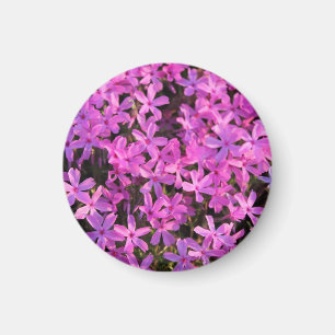 paarse bloemen magneet