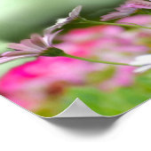 paarse bloemen met bijbelvers 1 Peter 3:3-4 Poster (Hoek)