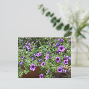 Paarse bloemen met bloembed briefkaart
