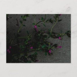 Paarse bloemen met diepe schaduwen briefkaart