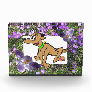 Paarse Bloemen met gestreepte krokussen Foto Blok