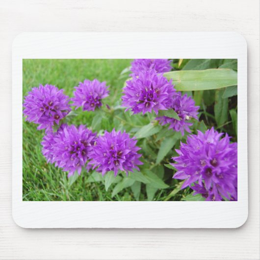 paarse bloemen muismat (Voorkant)