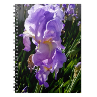 Paarse Bloemen Notitieboek