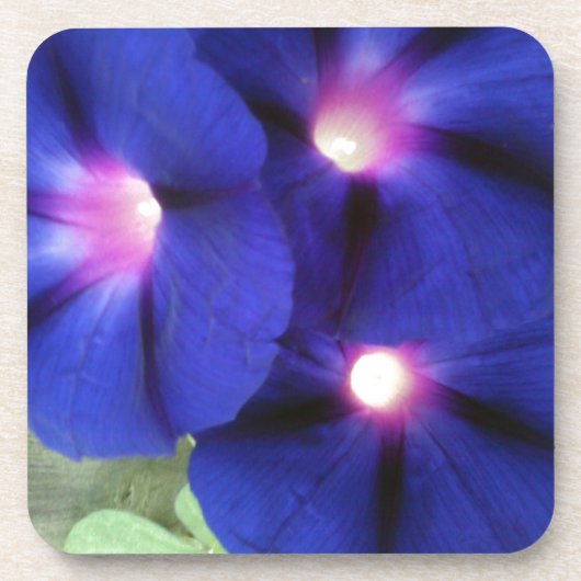 Paarse Bloemen Onderzetter (Voorkant)