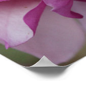 Paarse bloemen poster (Hoek)