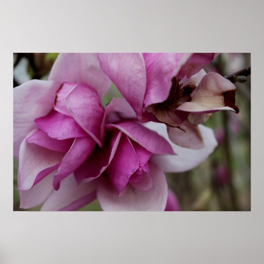 Paarse bloemen poster (Voorkant)