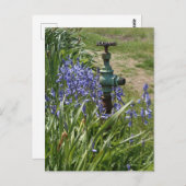 Paarse bloemen rondom waterspuug briefkaart (Voorkant / Achterkant)