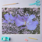 Paarse bloemen tissue papier (Craft)