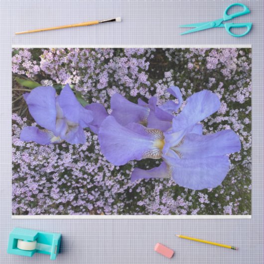 Paarse bloemen tissue papier (Craft)