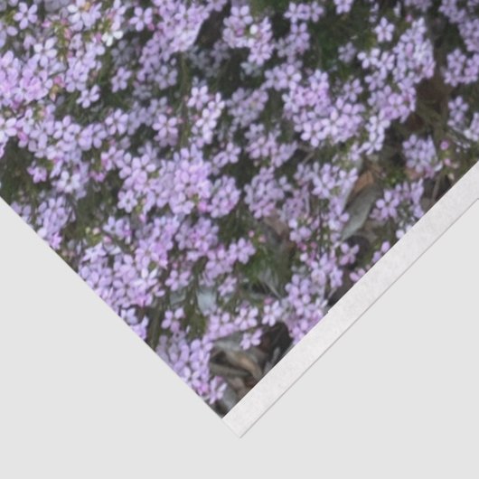 Paarse bloemen tissue papier (Detail)