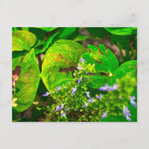 Paarse Bloemen Tussen Groene Bladeren Briefkaart