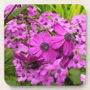 Paarse Bloemen uit San Francisco Drankjes Onderzetter