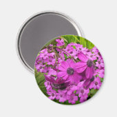 Paarse Bloemen uit San Francisco Magneet (Voorkant / Achterkant)