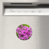 Paarse Bloemen uit San Francisco Magneet (Insitu (Vaatwasser))