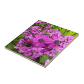 Paarse Bloemen uit San Francisco Tegeltje (Zijkant)