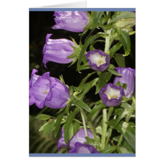 Paarse bloemen van Giverny