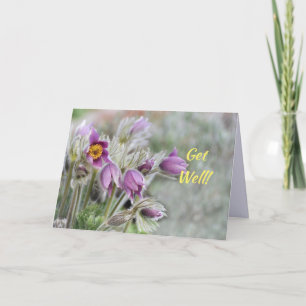 PAARSE BLOEMEN WORDEN GOED KAART