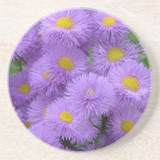 Paarse Bloemen Zandsteen Onderzetter (Voorkant)