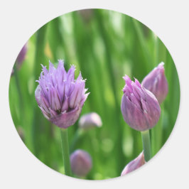 Paarse bloemenbiesem ronde sticker