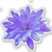 Paarse bloemenblauw bloemblauw paarse bloem sticker (Voorkant)