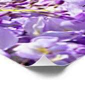 Paarse bloemenbloem met bloesem perfect poster (Hoek)