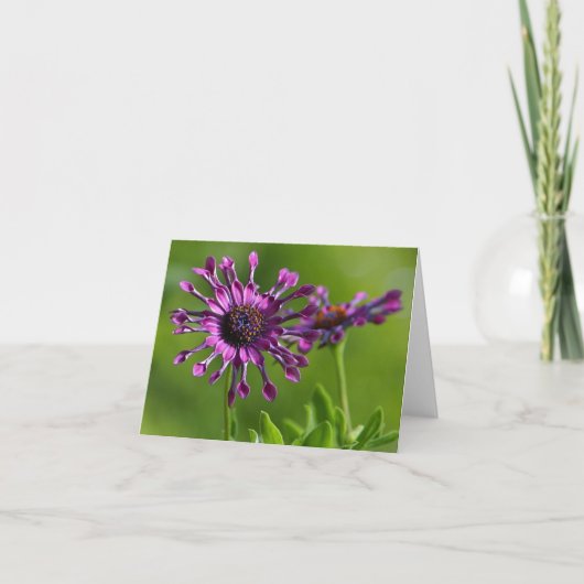 paarse bloemenbriefkaart kaart (Voorkant)