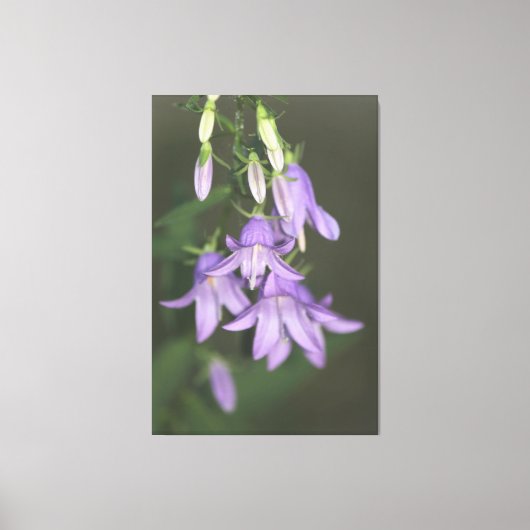 Paarse bloemendoek canvas afdruk (Voorkant)